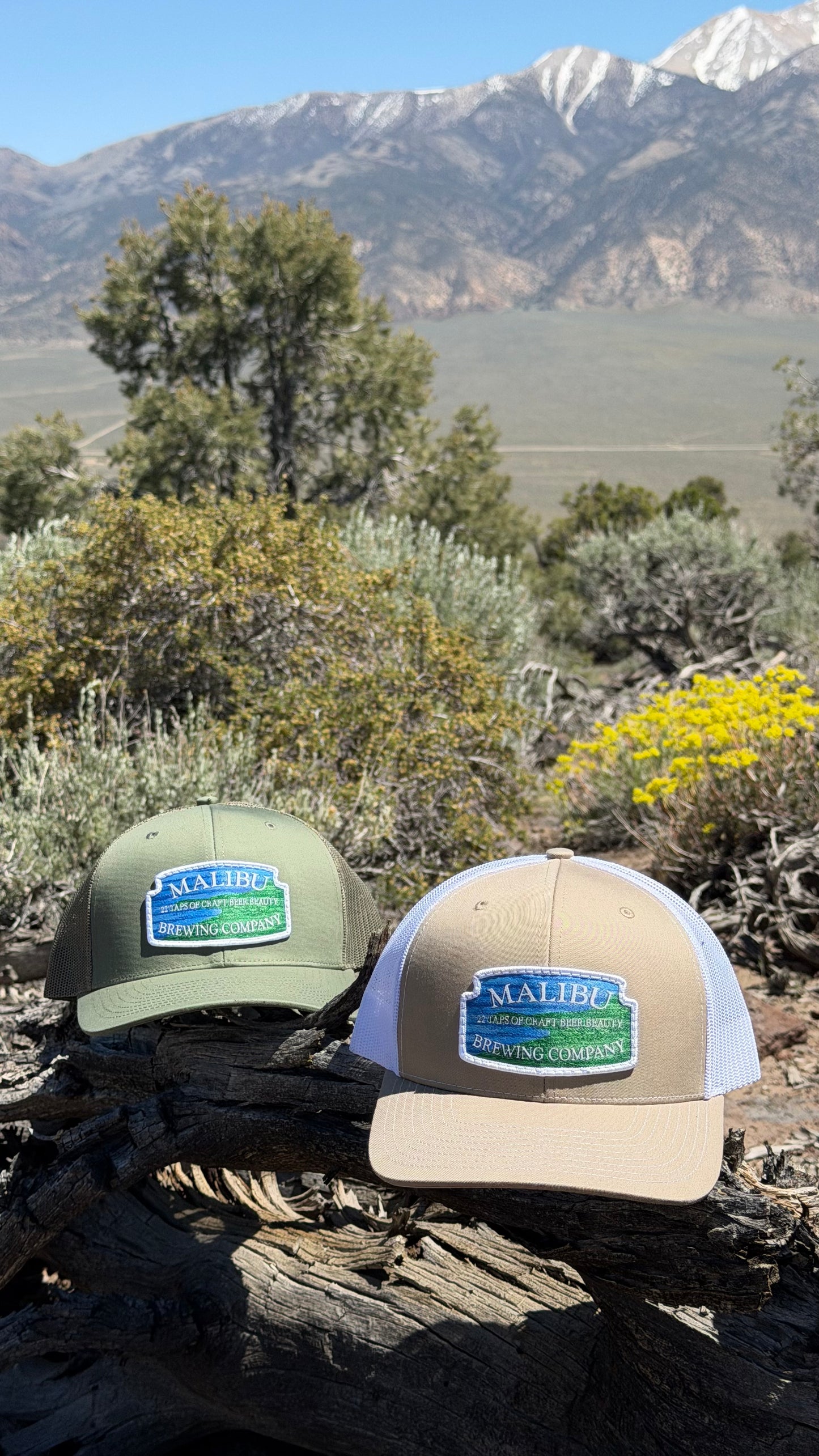Two Malibu City Sign Hats—a green one with an embroidered patch and a tan Richardson snapback—rest on a log surrounded by shrubs and yellow flowers, with snow-capped mountains and a clear sky in the background.