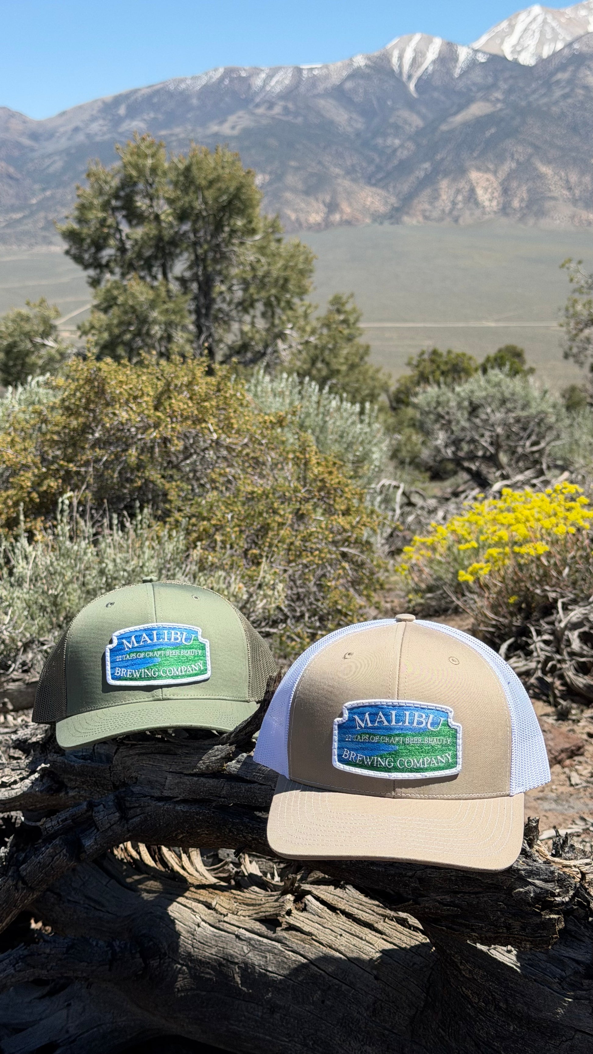 Two Malibu City Sign Hats—a green one with an embroidered patch and a tan Richardson snapback—rest on a log surrounded by shrubs and yellow flowers, with snow-capped mountains and a clear sky in the background.