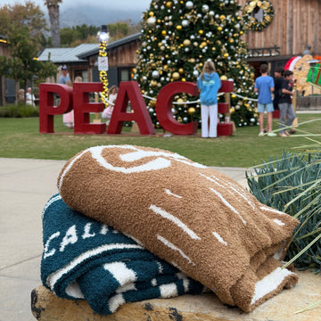 Malibu Brewing Company